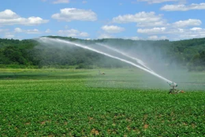 Irrigation