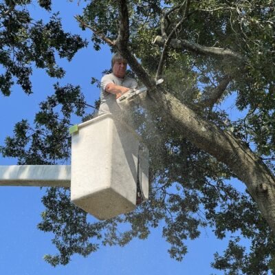 Ken’s Tree & Landscaping