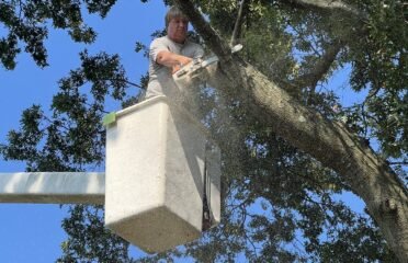 Ken’s Tree & Landscaping
