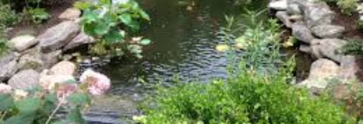 JJ Brothers Landscaping LLC