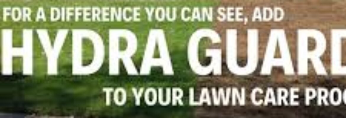 Lawn Doctor of Fairfield County