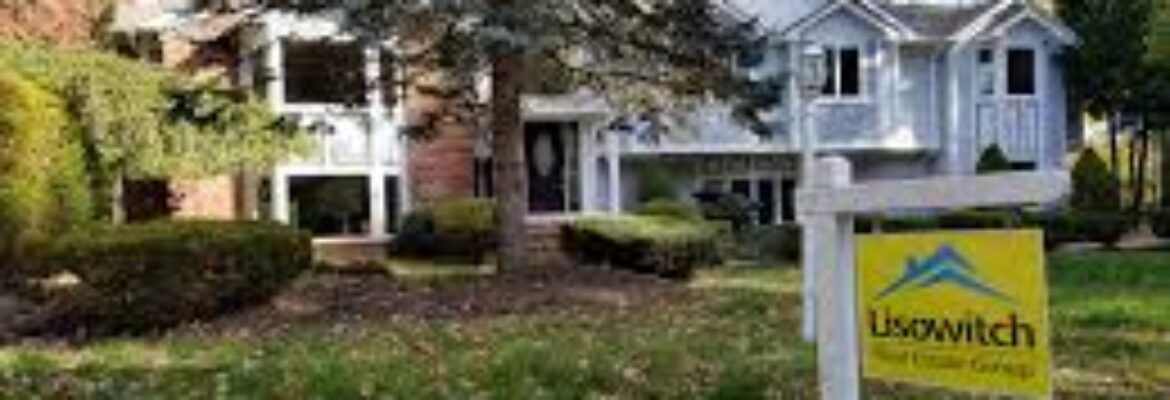 Lisowitch Real Estate Group