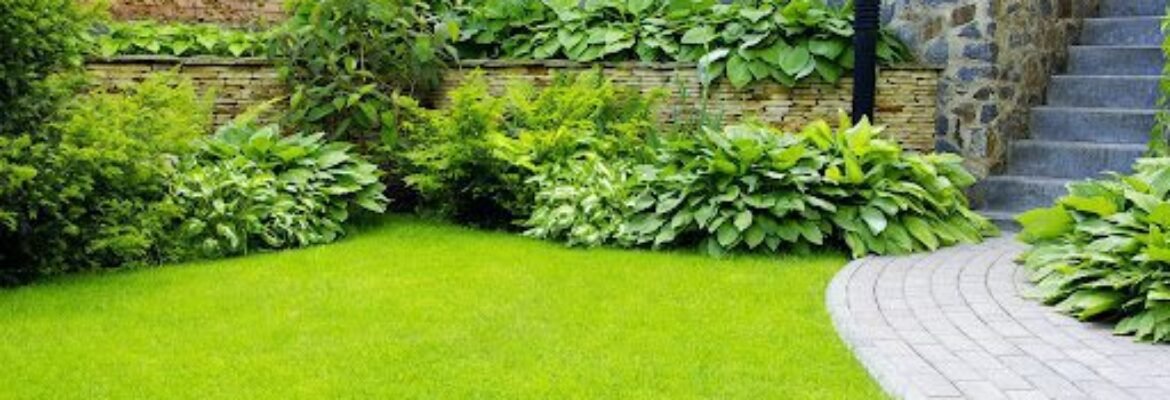 PLT Landscape Contractors