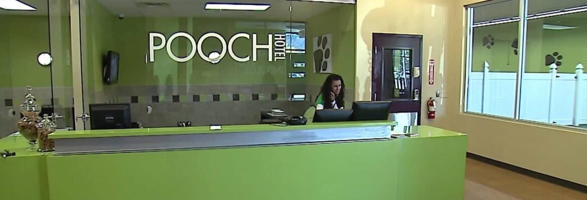 Pooch Hotel