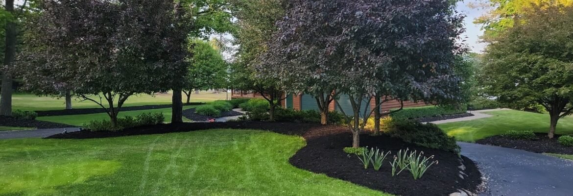 S&C Landscaping