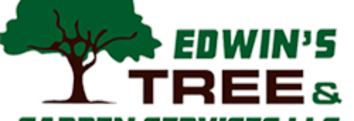 Backman Edwin Tree Service