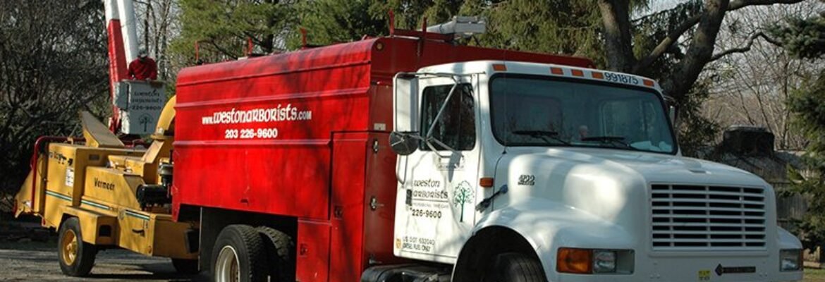 Weston Arborists Inc